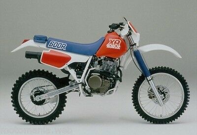 XR600R